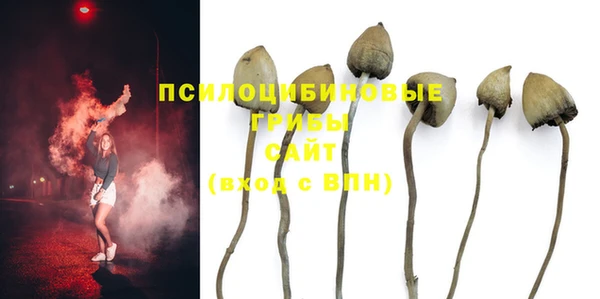 молекула духа Беломорск