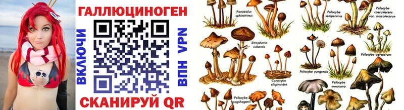 маркетплейс наркотические препараты  Великие Луки  Галлюциногенные грибы мицелий 